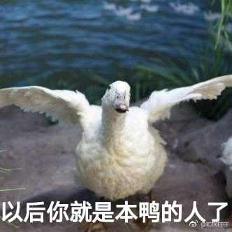 【我是谜】💕官方联系方式💕