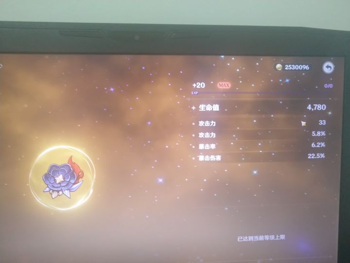 XDM 这个花属性怎么样截图