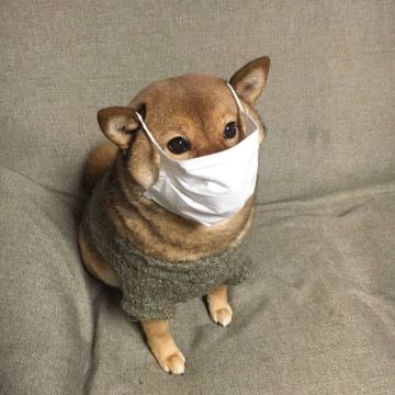 【公告】防御加满，火力全开