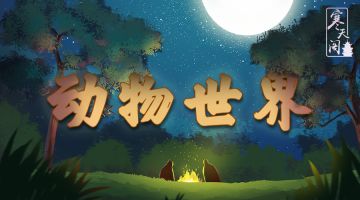 【新本预告】今日更新剧本——《动物世界》