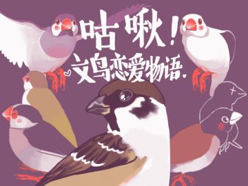 《咕啾！文鸟恋爱物语》：来和帅气的鸟君谈场校园恋爱吧