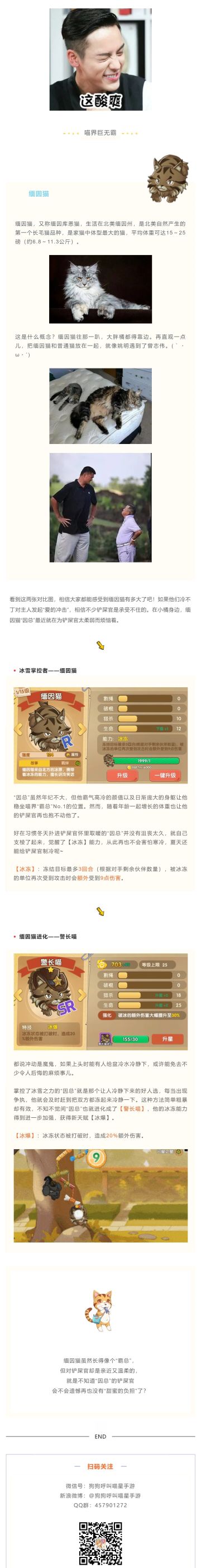 喵界“霸总”的烦恼......