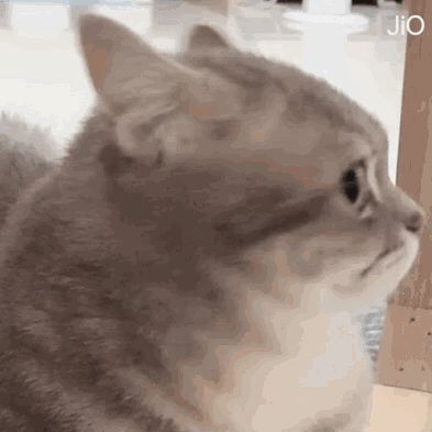 【记录】截图