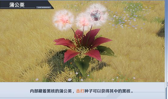 【新手攻略】幻塔世界探索名词解释截图