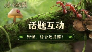 【有奖活动】11星野怪！你是“赌野怪”党还是“稳合”党？