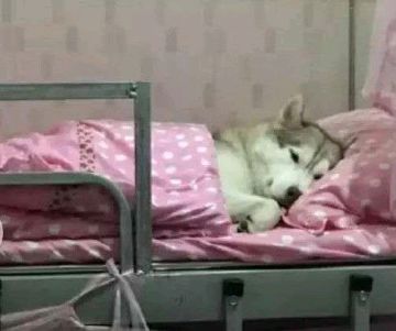 浅谈先锋服改动(正在更新....)