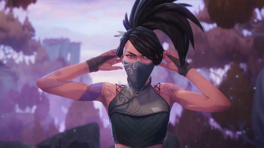 video-1377205