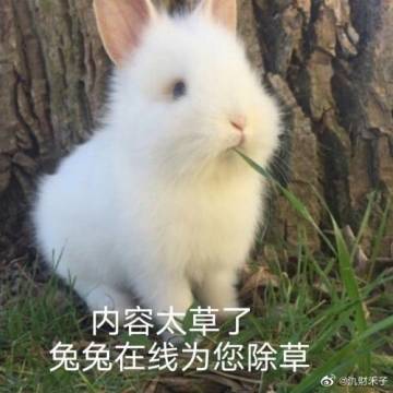 【说书人】娱乐贴，三区同人，剑九篇