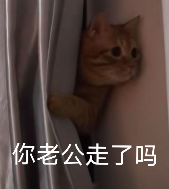 真好玩，刷几次就掉0.1评分截图