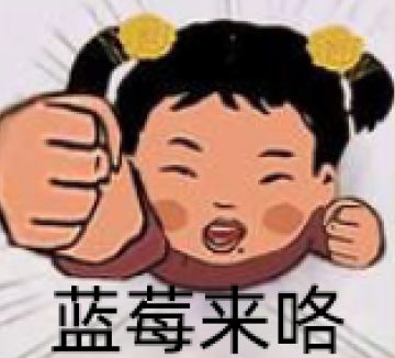 蓝莓日记丨馋哭隔壁小朋友的零食