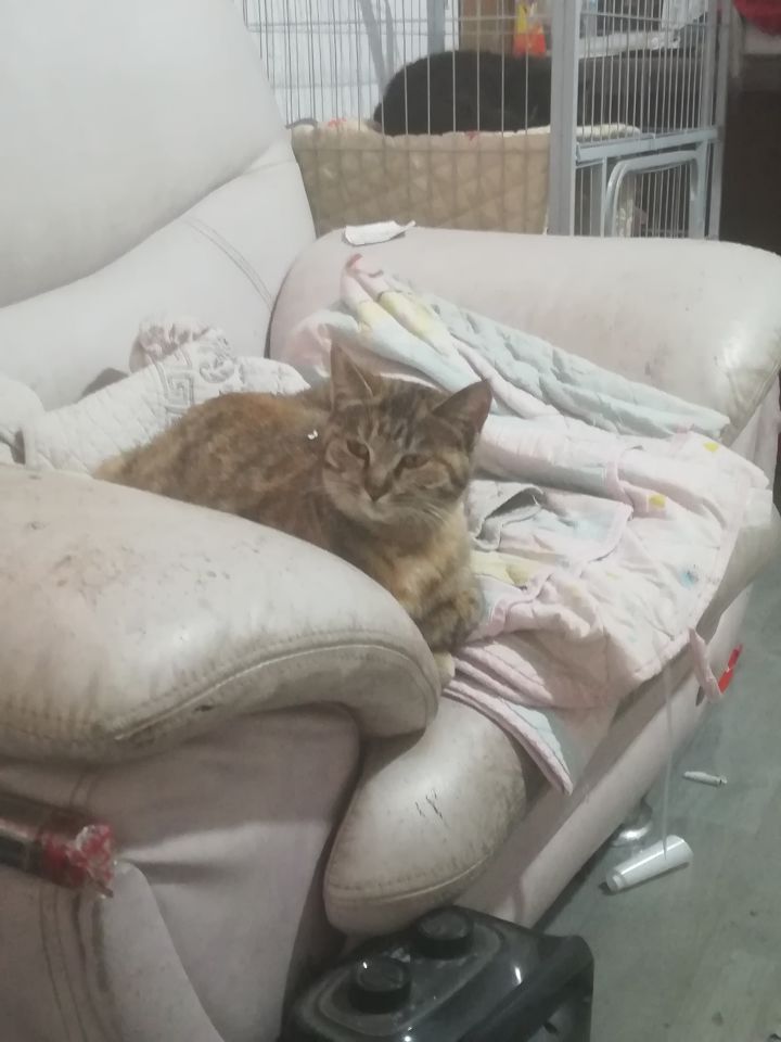 问两个卡截图