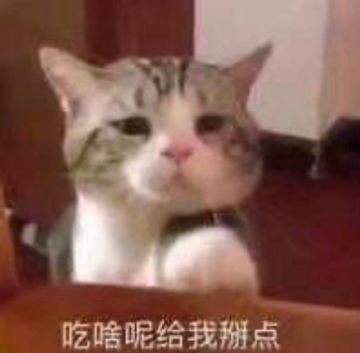 【更新公告】5月24日每周例行维护说明(〃∇〃)