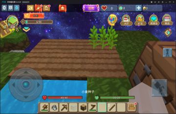 《方块堡垒》空岛生存如何种植