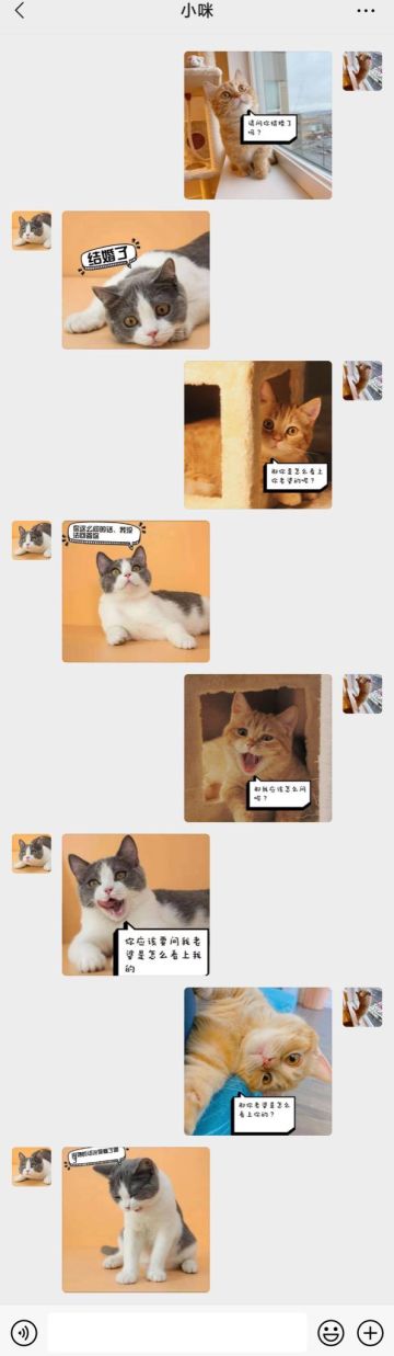 【表情包专栏】一定是……上天的缘分