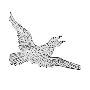 【妙笔小课堂】志怪·比翼鸟传说