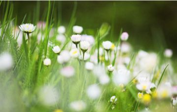 世界帕金森病日