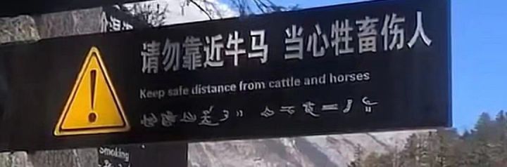 今天打了一天,感触颇深截图
