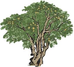 https://img2.tapimg.com/bbcode/images/65cbbc6c2baeab7456d44b8ccdd5a08a.png