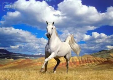 CS:GO知名饰品收藏家遭黑客盗号，百万美元库存流入市场