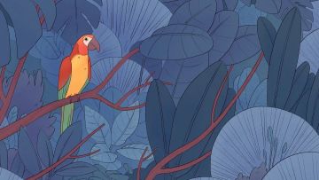 [安利] 这款游戏的主角不是你，是一只孤独的鸟