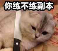 【金币团本】突破，金币3108