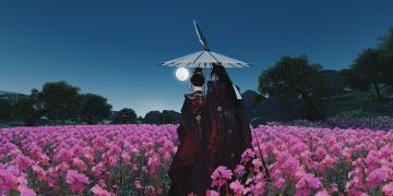 发个双人大轻功吧今天才知道的