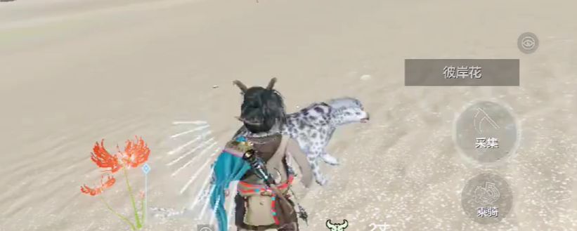 妄想山海彼岸花在哪截图