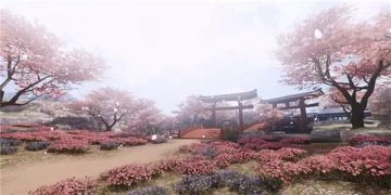 《楚留香》新地图蝙蝠岛探秘 全新副本风云骤现