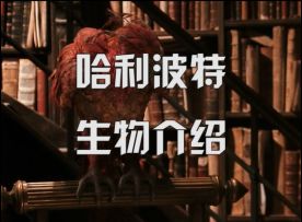 【哈利波特小剧场】哈利波特生物介绍