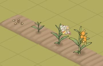 进度更新~（7月31日）