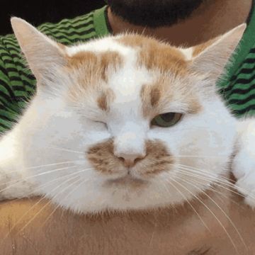 【版本更新】大幅优化闪退的版本！去吧皮卡丘！让闪退的宝宝们愉快的游戏吧！！！！