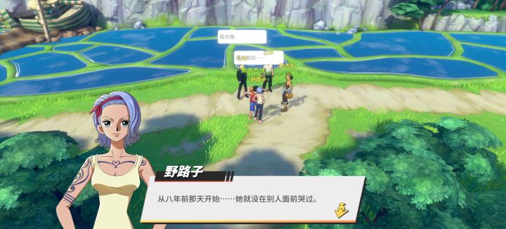 娜美的姐姐不是叫诺琪高嘛,变成野路子了,笑死了😂截图