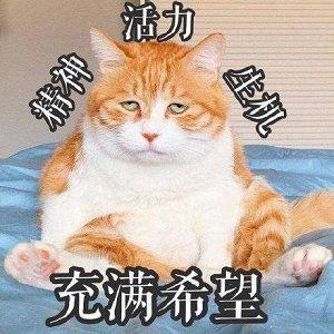 【帕格尼尼の闲聊时间】少玩些游戏，救救你的肝吧！