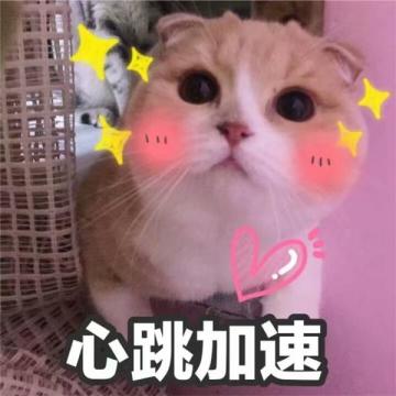 《跳跳大咖》二妮心目中的美女与野兽