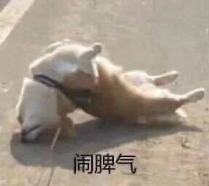 我整一个赛季开完全部箱子没出一个英雄!!!截图