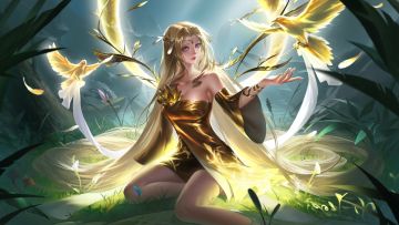 青禾的茶话会·0804