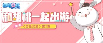 胡桃出门常备什么随身物品？本兔叽道！