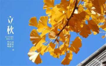 末伏：二庚出末伏，逢丙见秋风