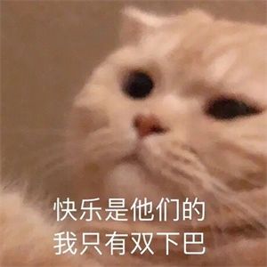营地周报——来自肉肉的碎碎念3