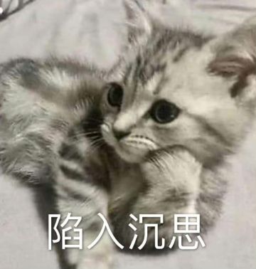 第三波福利？玉石？来波大的！