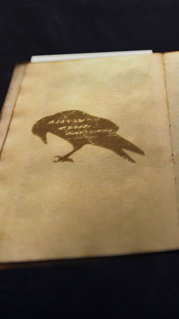 终局谜团水落石出，暗夜古堡即将“降临”——《暗黑破坏神：不朽》ARG活动复盘