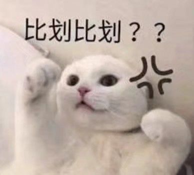 汐愿之海有小伙伴吗截图