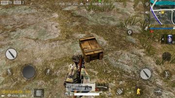 吾家有兄是肥盒