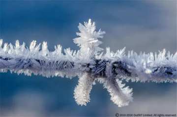 二十四节气之大寒