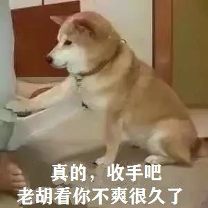 已开奖【端午活动】粽子？粽子！金牙妹的端午小谈！