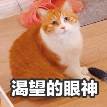 Σ(っ °Д °;)っ，惊！武将阵容原来是。。。。。。