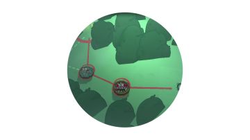 《独奏骑士》| S4赛季内容大爆料