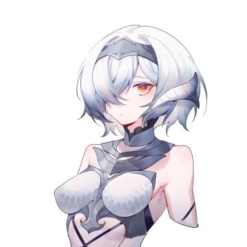 【资料分享⑨】先锋英雄，白翼之龙 - 维娜