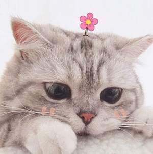 初雪了， 愿所有美好都在12月与你相遇