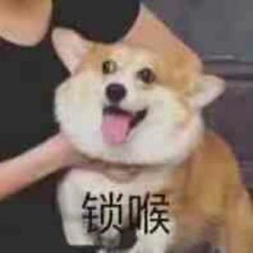 给萌新的991道菜谱合集